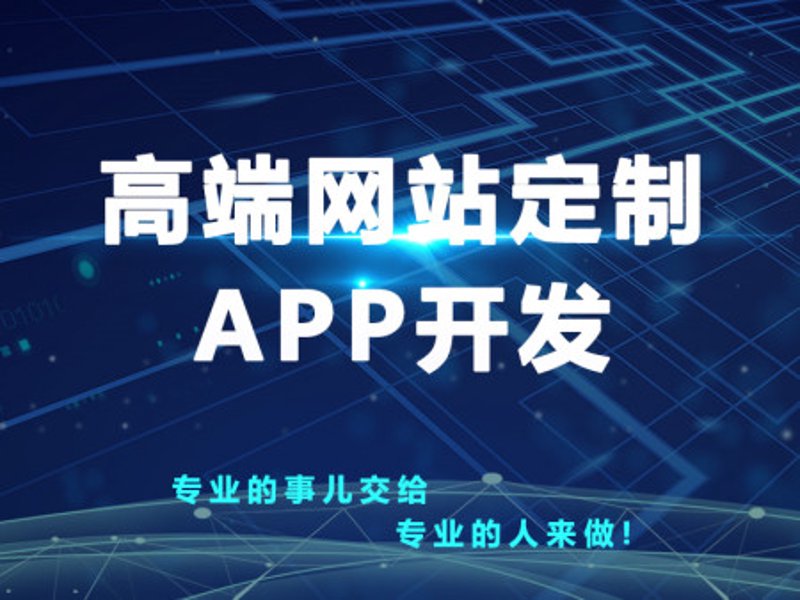 软件开发行业的未来趋势与发展